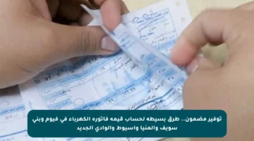 توفير مضمون.. طرق بسيطة لحساب قيمة فاتورة الكهرباء في فيوم وبني سويف والمنيا وأسيوط والوادي الجديد